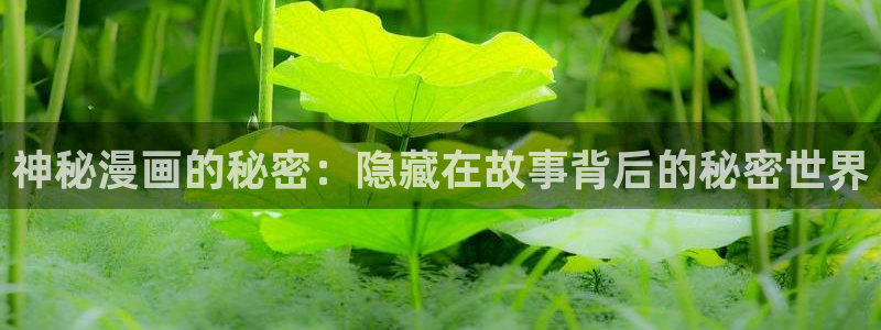 韩漫漫画大全免费软件：神秘漫画的秘密：隐藏在故事背后的秘密世界